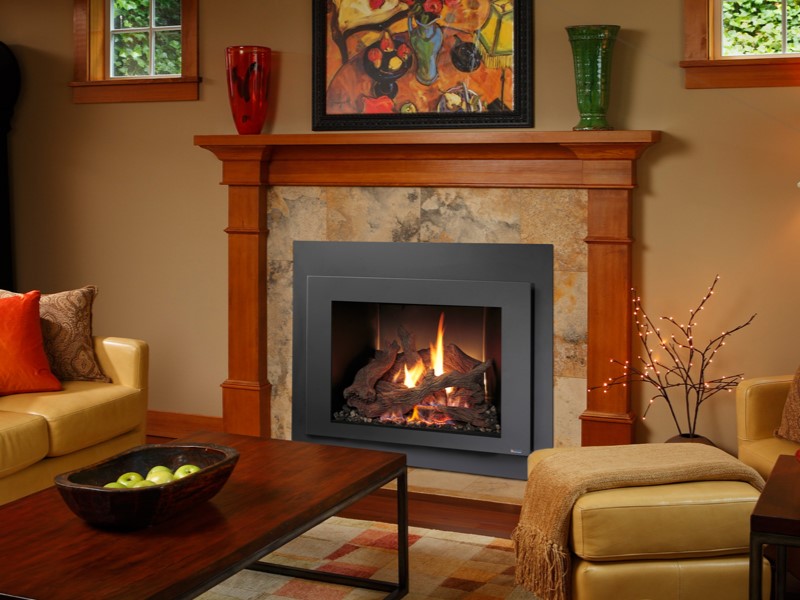 616 GSR by Fireplace Xtrordinair Gas Fireplace Insert Flame Center